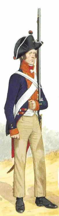 1806Musketeer1